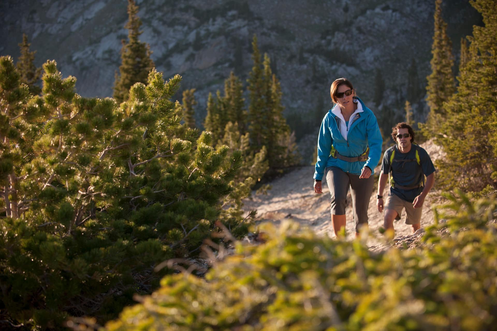 Two hikers walking on a trail surrounded by tall trees and rugged terrain. One is wearing a blue jacket and the other a gray shirt, both appear to be enjoying the outdoor activity.