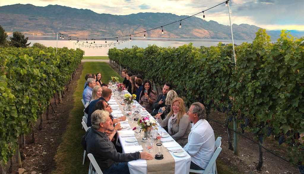 A group of people dining at a long table in a vineyard with mountains and a body of water in the background.