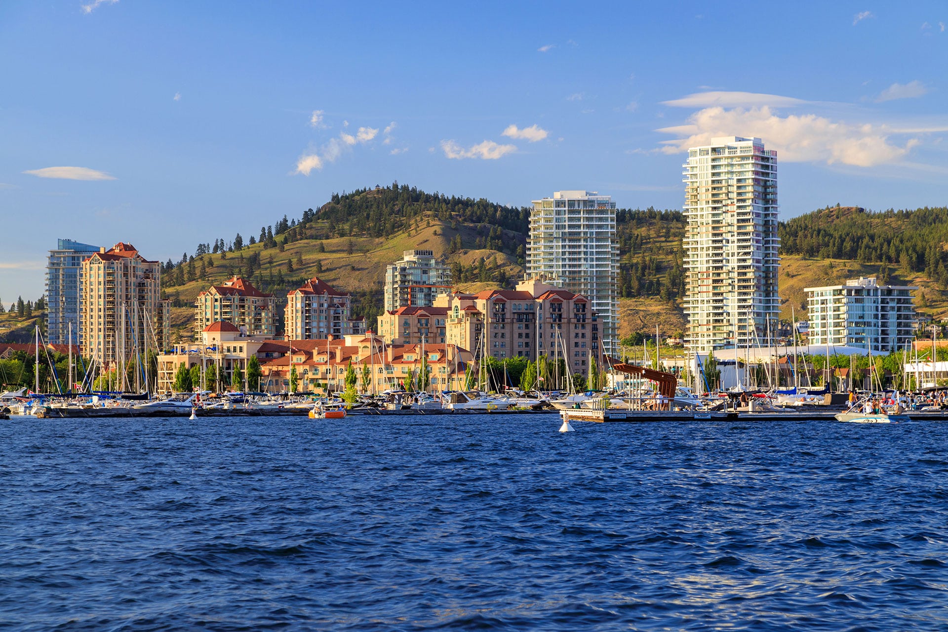 A waterfront view featuring modern buildings, a marina filled with boats, and a hillside in the background under a blue sky.